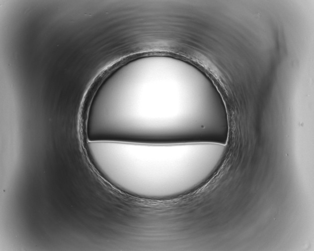 X0000098181072200804241025