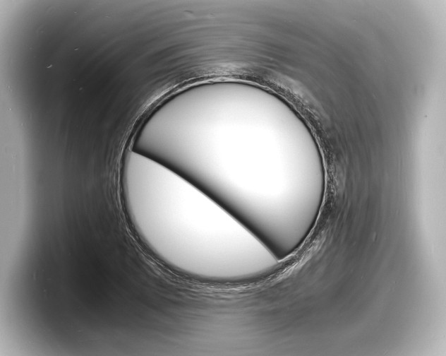 X0000098181073200804241025