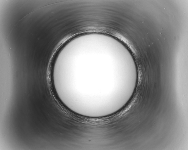 X0000098181074200804241025