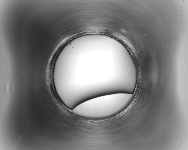 X0000098181075200804241025