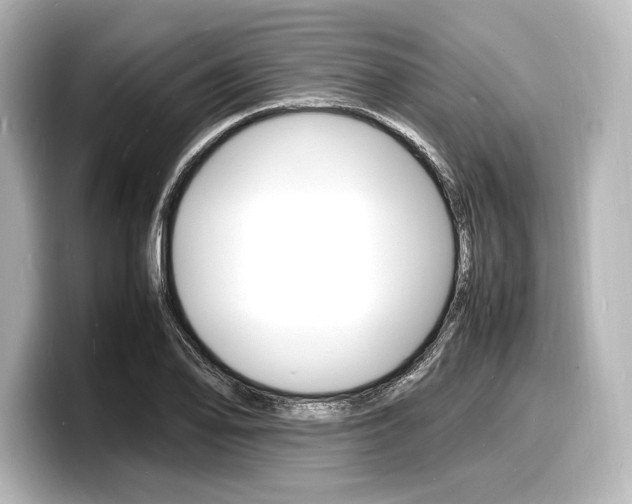 X0000098181078200804241025