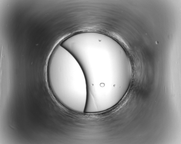 X0000098181079200804241025