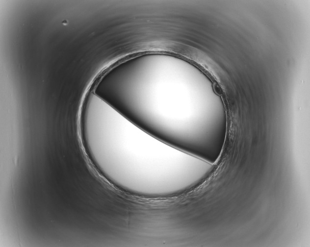 X0000098181080200804241025