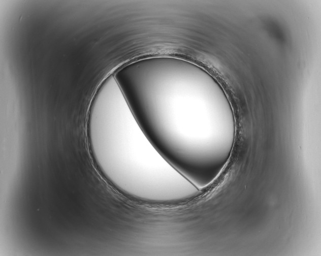 X0000098181081200804241025