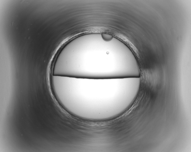 X0000098181083200804241025