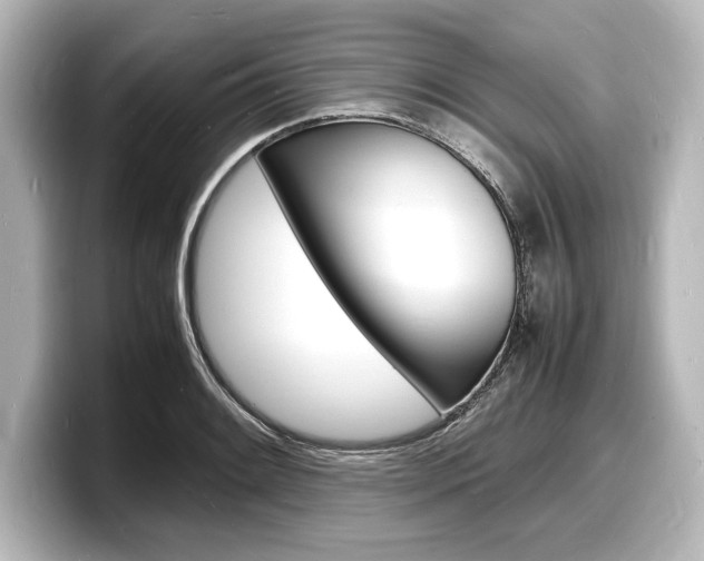 X0000098181084200804241025