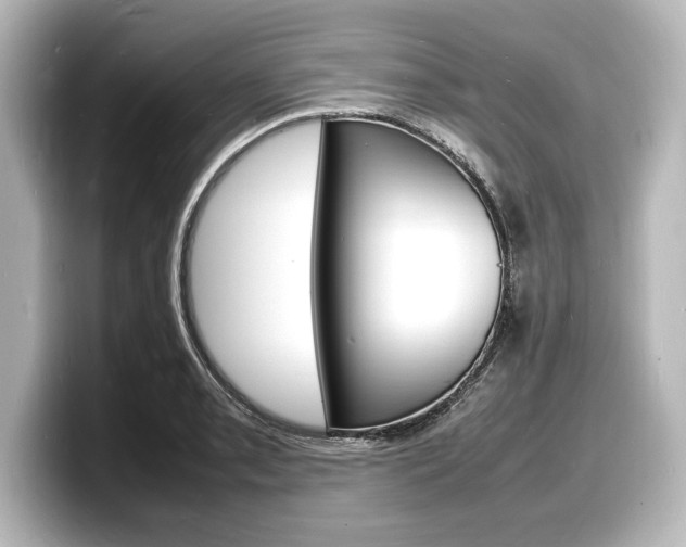 X0000098181085200804241025