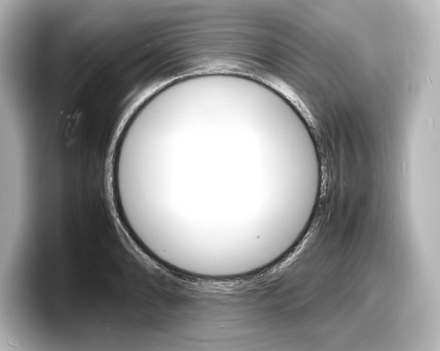 X0000098181086200804241025