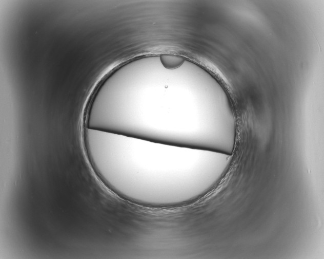 X0000098181087200804241025
