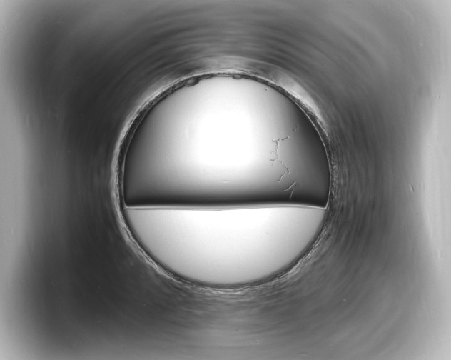 X0000098181088200804241025