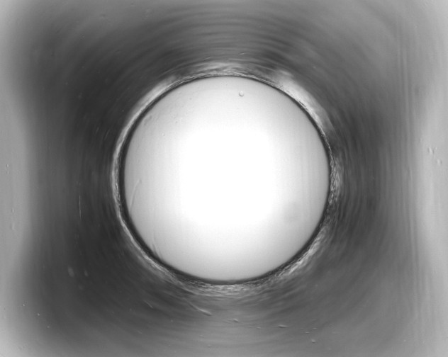 X0000098181090200804241025