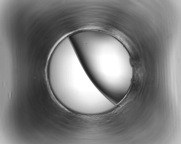 X0000098181092200804241025