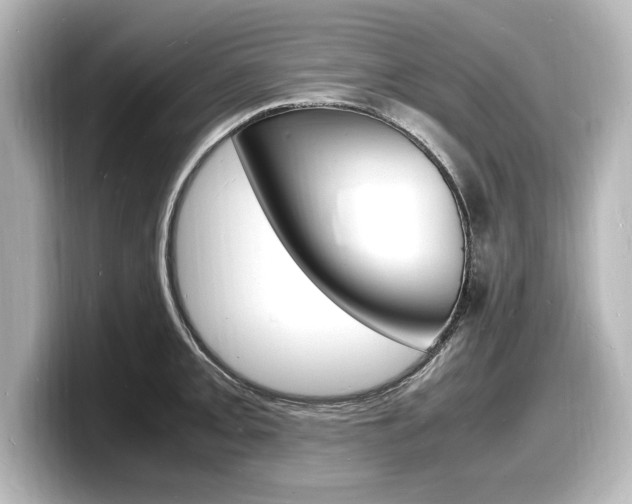 X0000098181093200804241025
