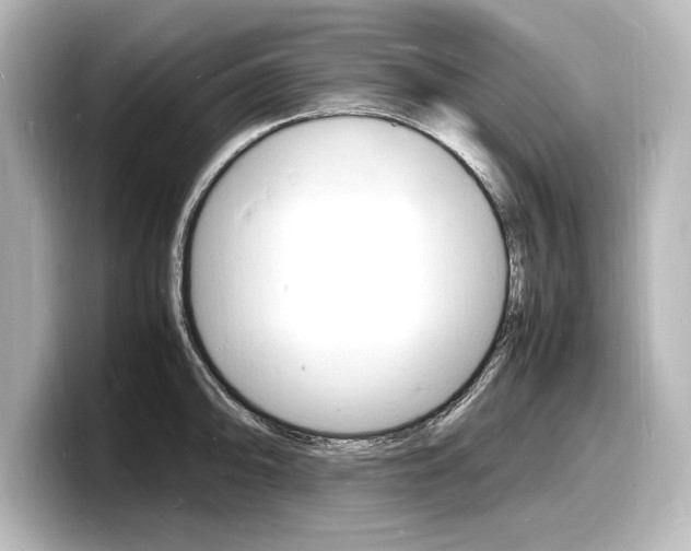 X0000098181094200804241025
