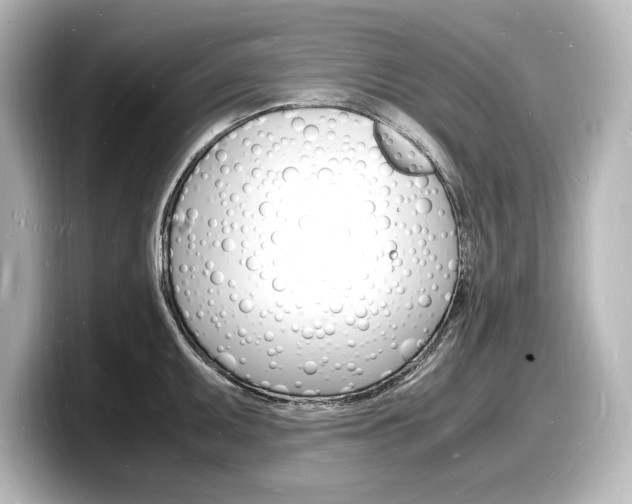 X0000098181095200804241025