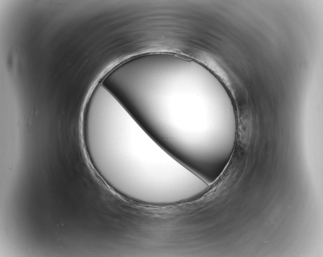 X0000098181096200804241025