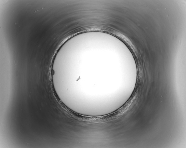 X0000098181097200804241025