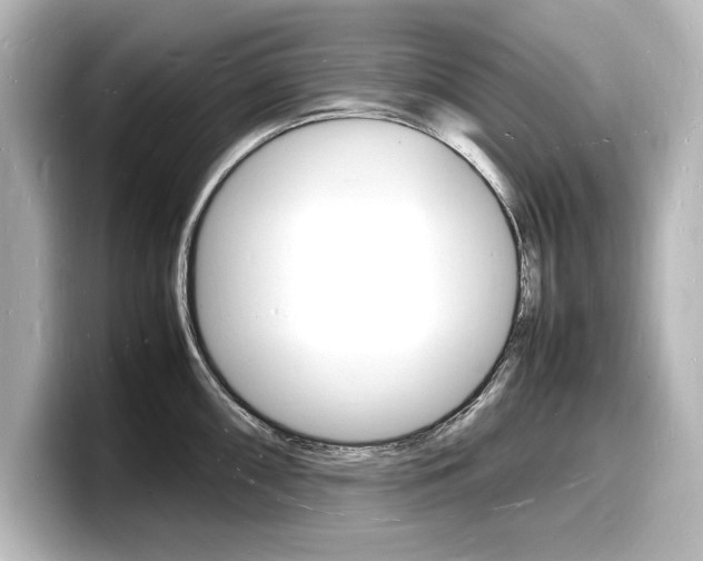 X0000098181098200804241025
