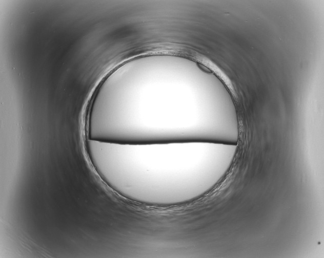 X0000098181099200804241025