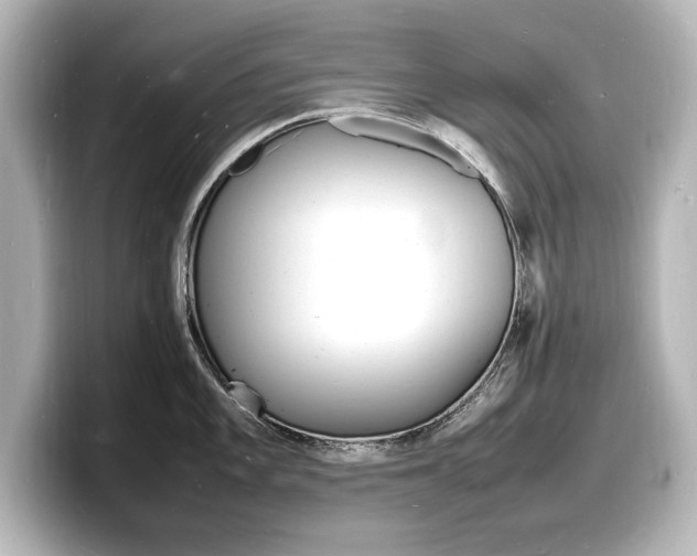 X0000098181101200804241025