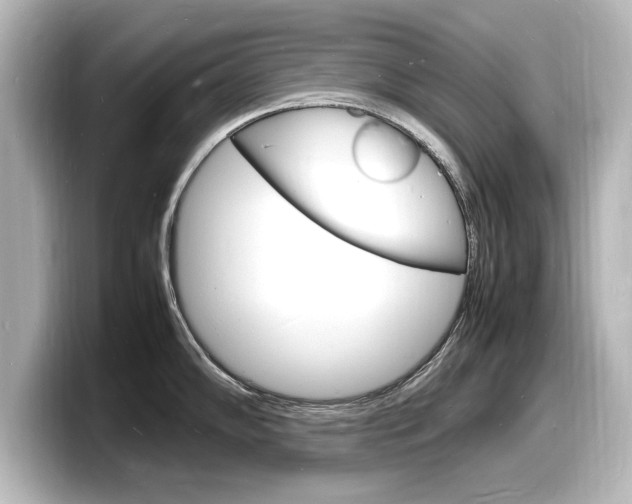 X0000098181102200804241025