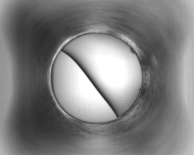 X0000098181103200804241025