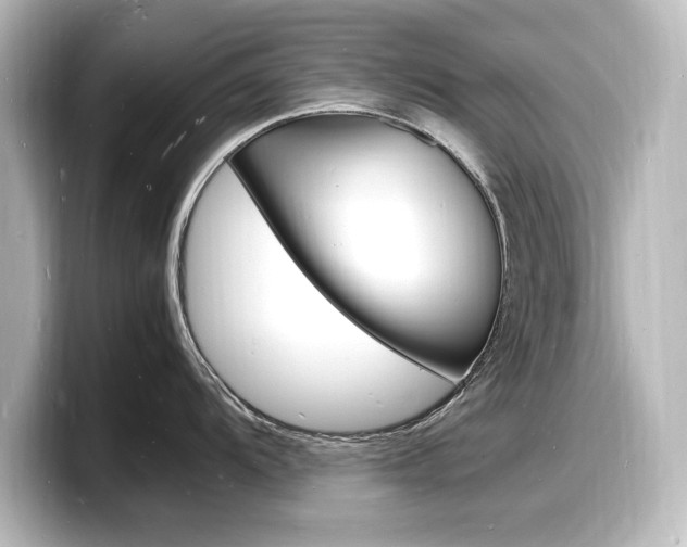 X0000098181104200804241025