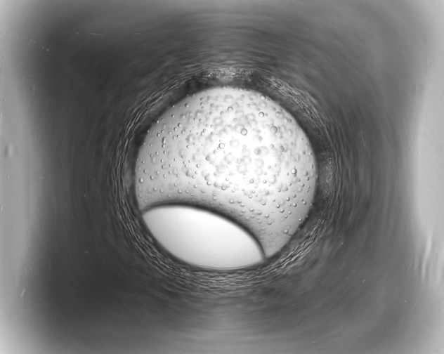 X0000098181105200804241024