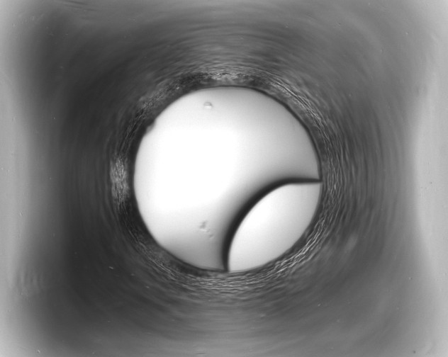 X0000098181106200804241024