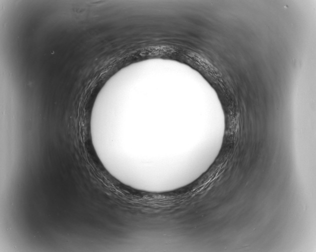 X0000098181109200804241024