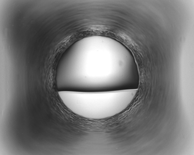 X0000098181110200804241024