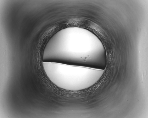 X0000098181111200804241024