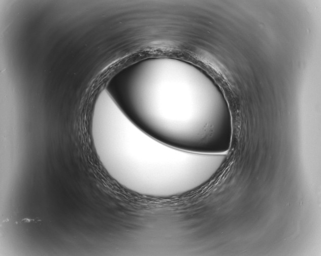 X0000098181112200804241024
