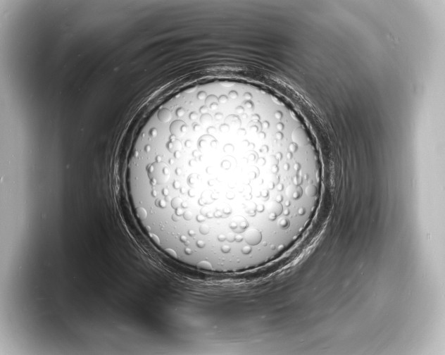 X0000098181113200804241024