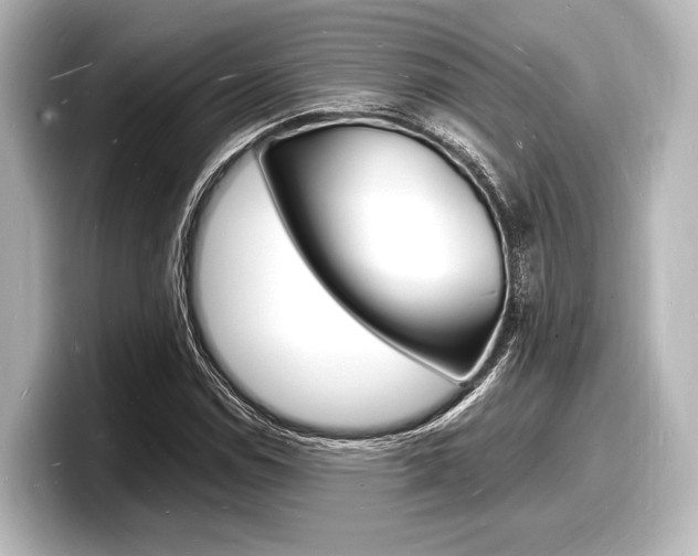 X0000098181114200804241024