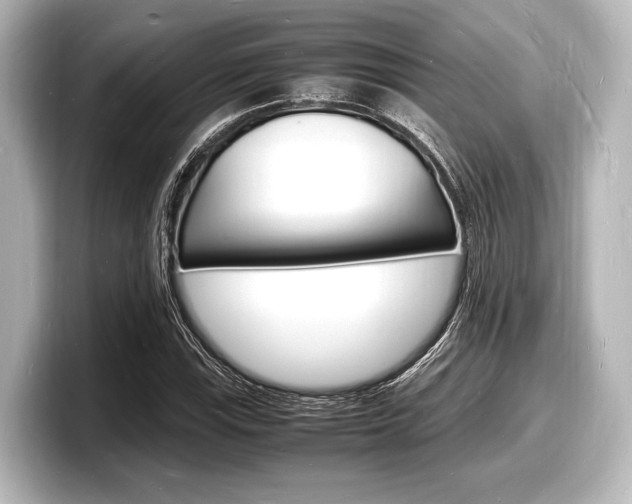 X0000098181115200804241024