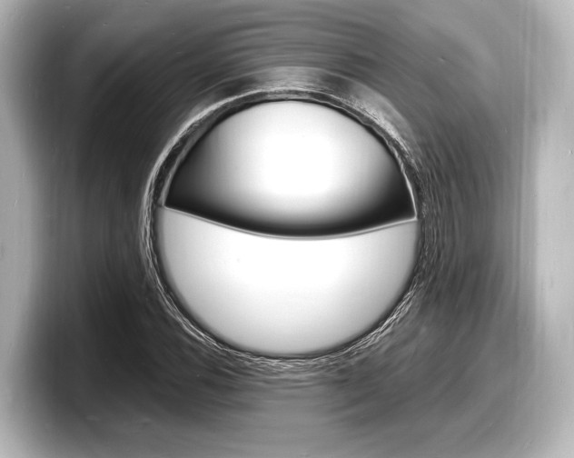 X0000098181116200804241024