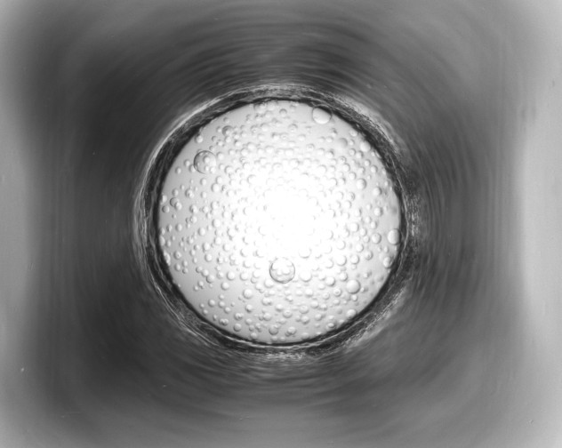 X0000098181117200804241024