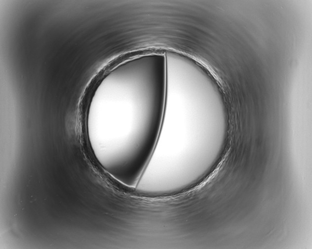 X0000098181118200804241024