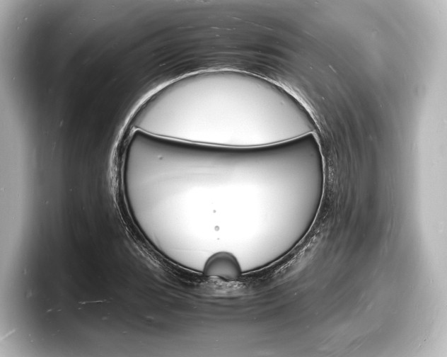X0000098181119200804241024