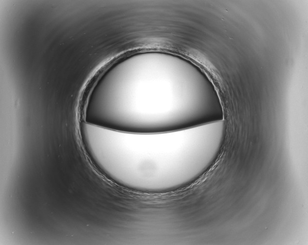 X0000098181120200804241025