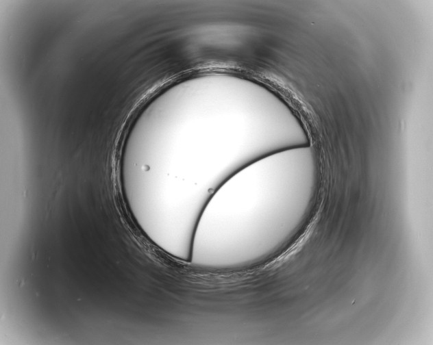 X0000098181121200804241025