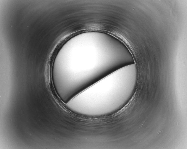 X0000098181123200804241025