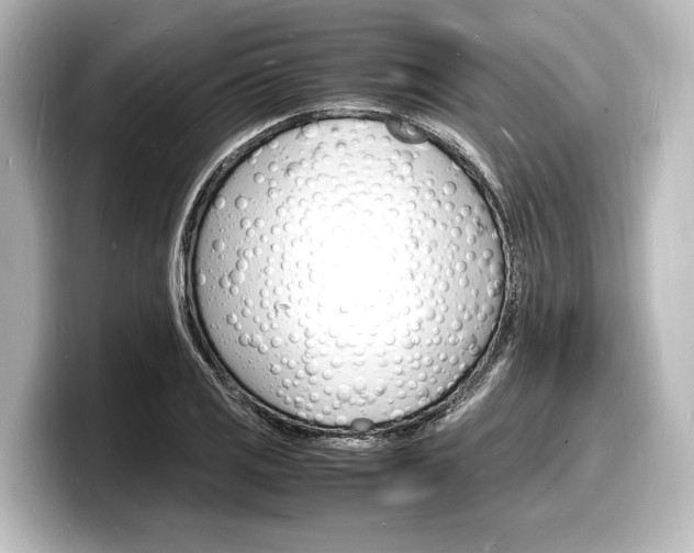 X0000098181125200804241025