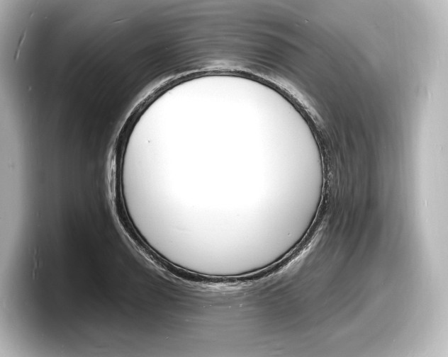 X0000098181126200804241025