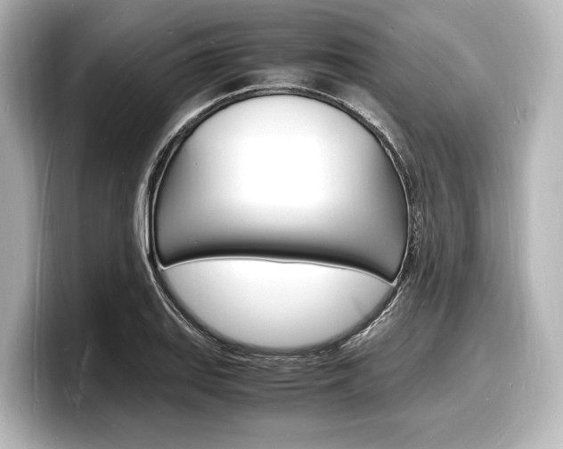 X0000098181127200804241025