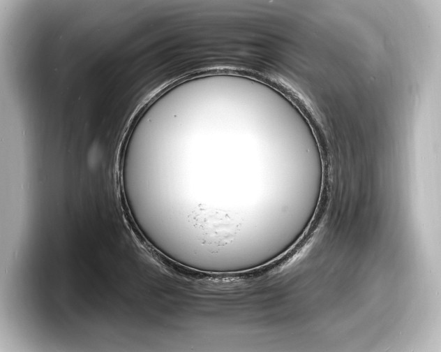 X0000098181129200804241025