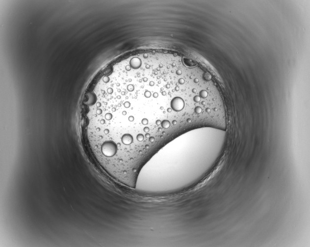 X0000098181130200804241025