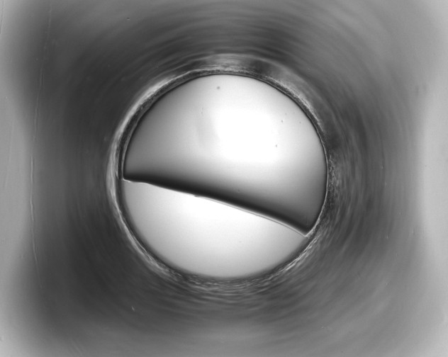 X0000098181131200804241025