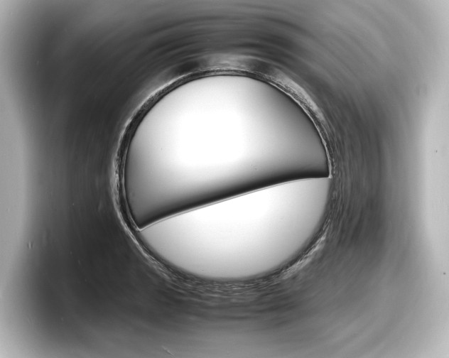 X0000098181133200804241025